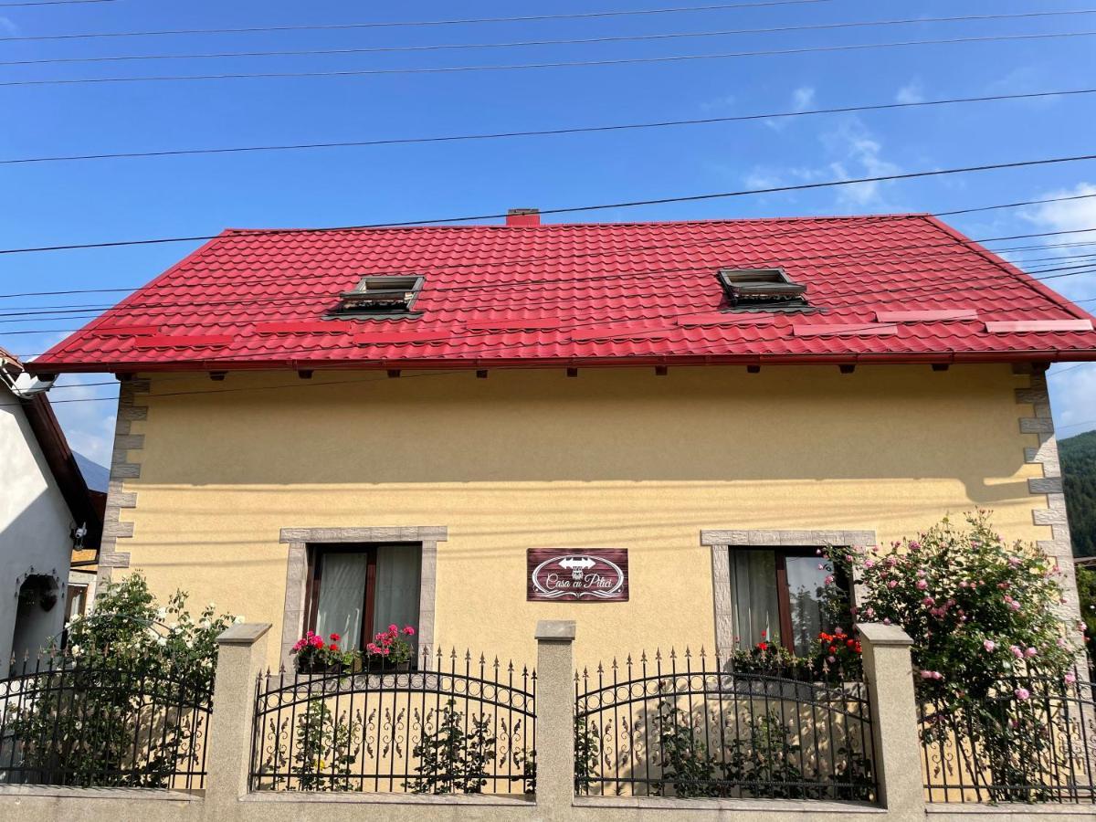 Casa Cu Pitici Guest House Vama  Exterior photo